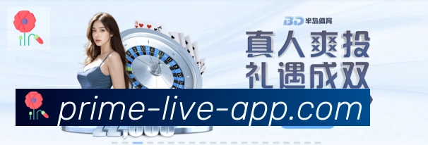 奖项证书